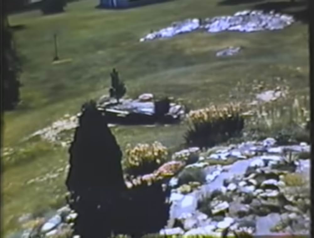 庭の印象の画像