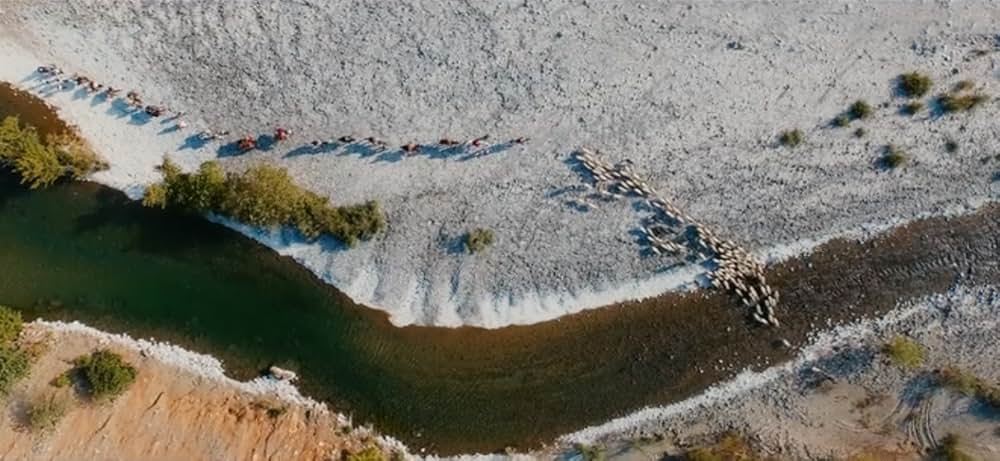 酸っぱいリンゴの木の下での画像