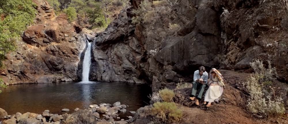 酸っぱいリンゴの木の下での画像