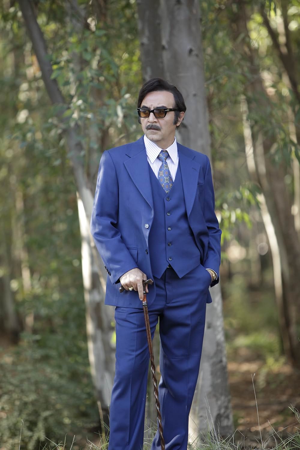 酸っぱいリンゴの木の下での画像