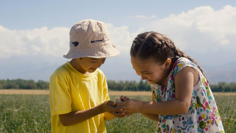 飛び立て、サビルジャンの写真