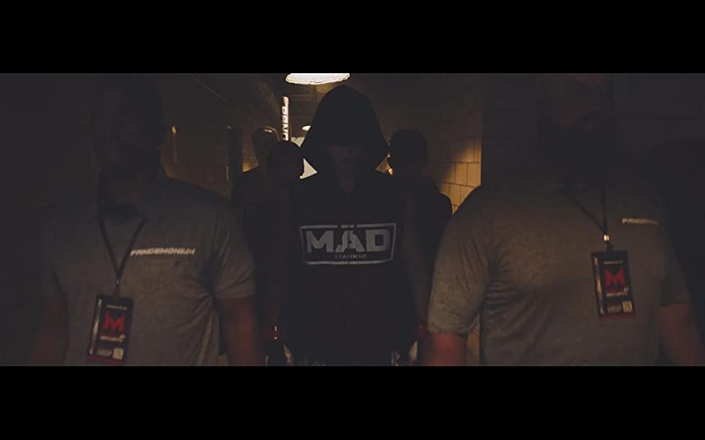 ディヴァイン・フューリー／使者の画像