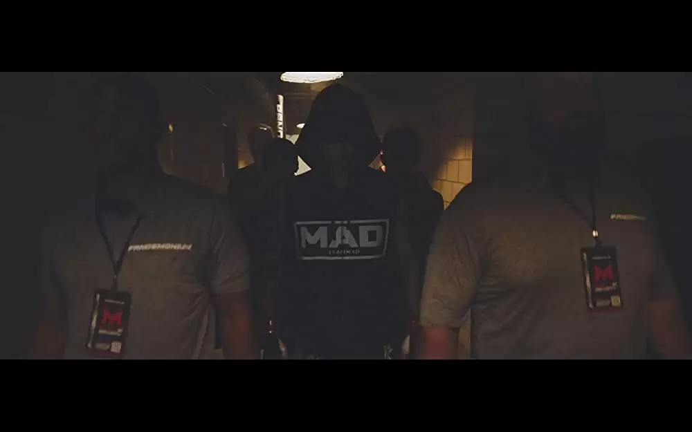 ディヴァイン・フューリー／使者の画像