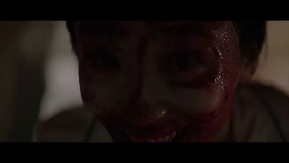 ディヴァイン・フューリー／使者の画像