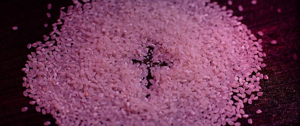 ディヴァイン・フューリー／使者の画像