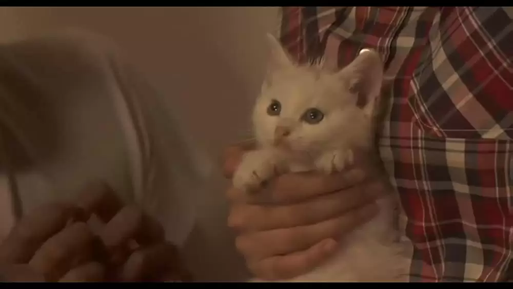 カラスの親指の画像