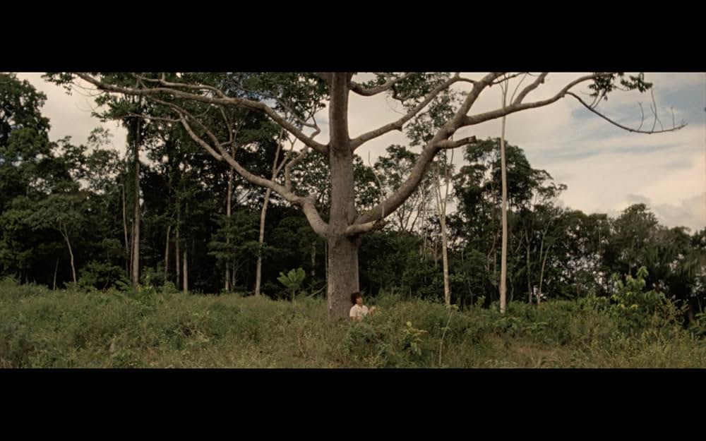 天空の下での画像