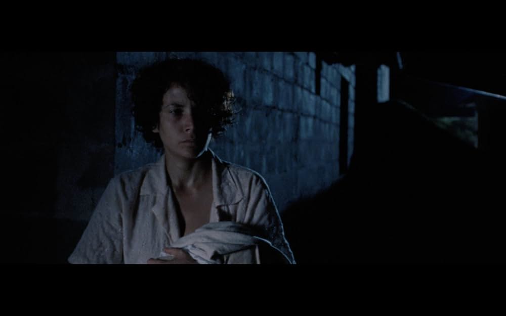 天空の下での写真