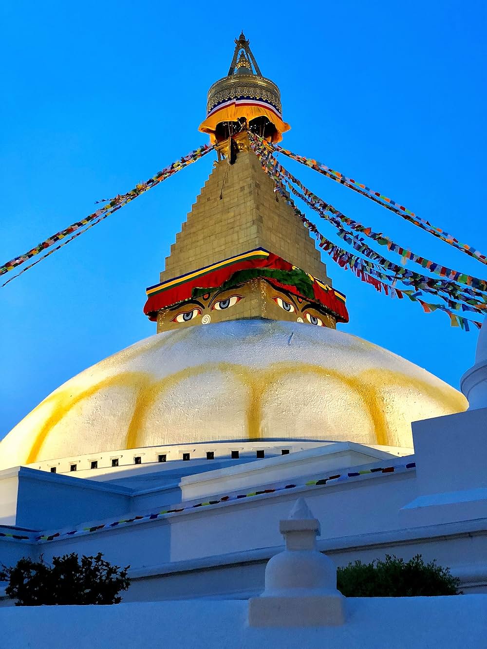 ザ・クエスト エベレストへの道の画像