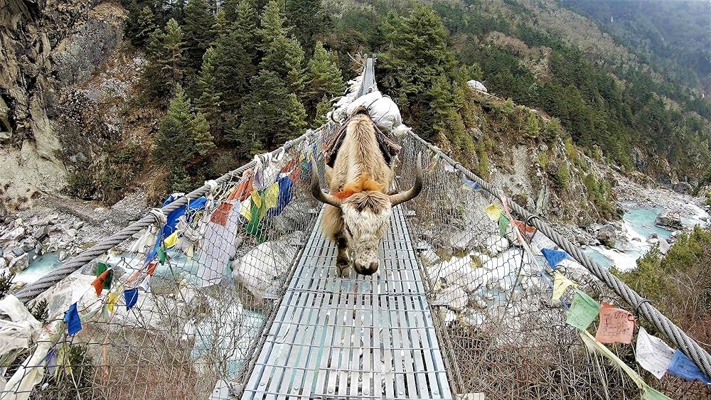 ザ・クエスト エベレストへの道の画像