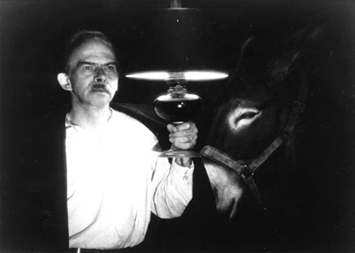 バルタザールどこへ行くの画像