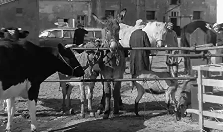 バルタザールどこへ行くの画像