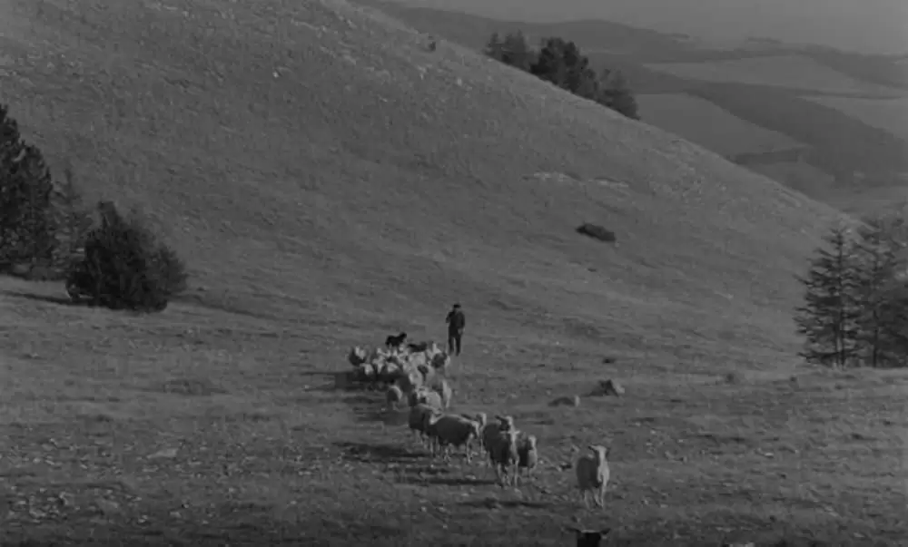 バルタザールどこへ行くの画像