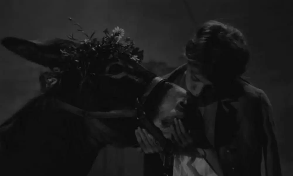 バルタザールどこへ行くの画像