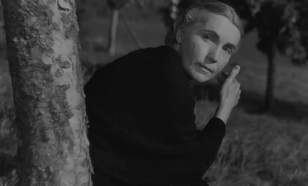 バルタザールどこへ行くの画像