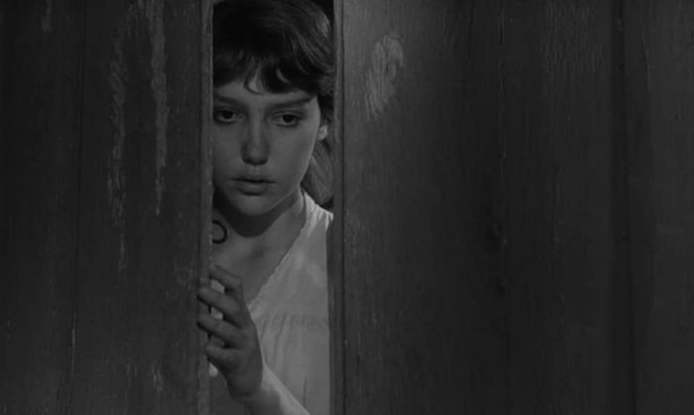 バルタザールどこへ行くの画像