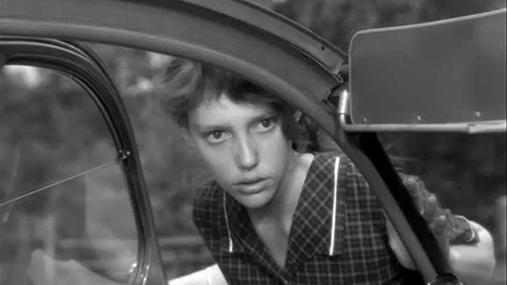 バルタザールどこへ行くの画像