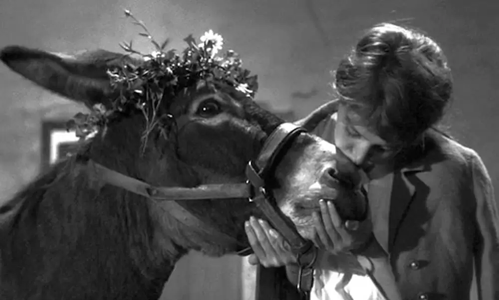 「バルタザールどこへ行く」アンヌ・ビアゼムスキーの画像