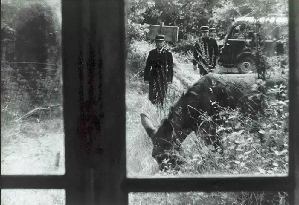 バルタザールどこへ行くの画像