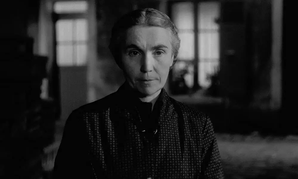 バルタザールどこへ行くの画像