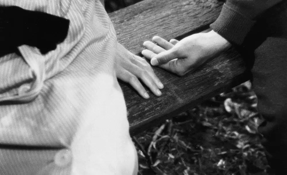 バルタザールどこへ行くの画像