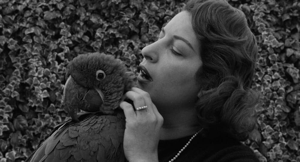 The Savage Eye（原題）の画像