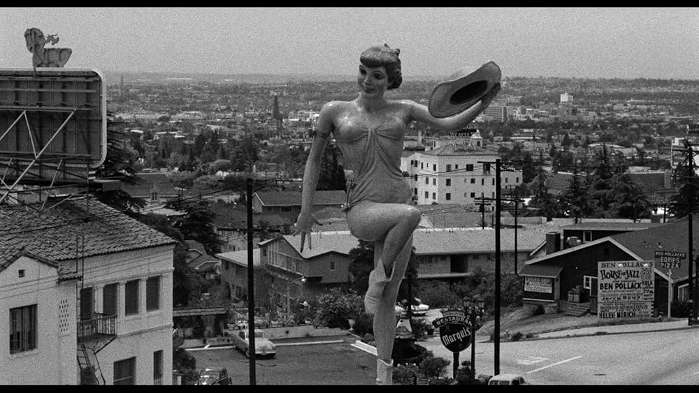 The Savage Eye（原題）の画像