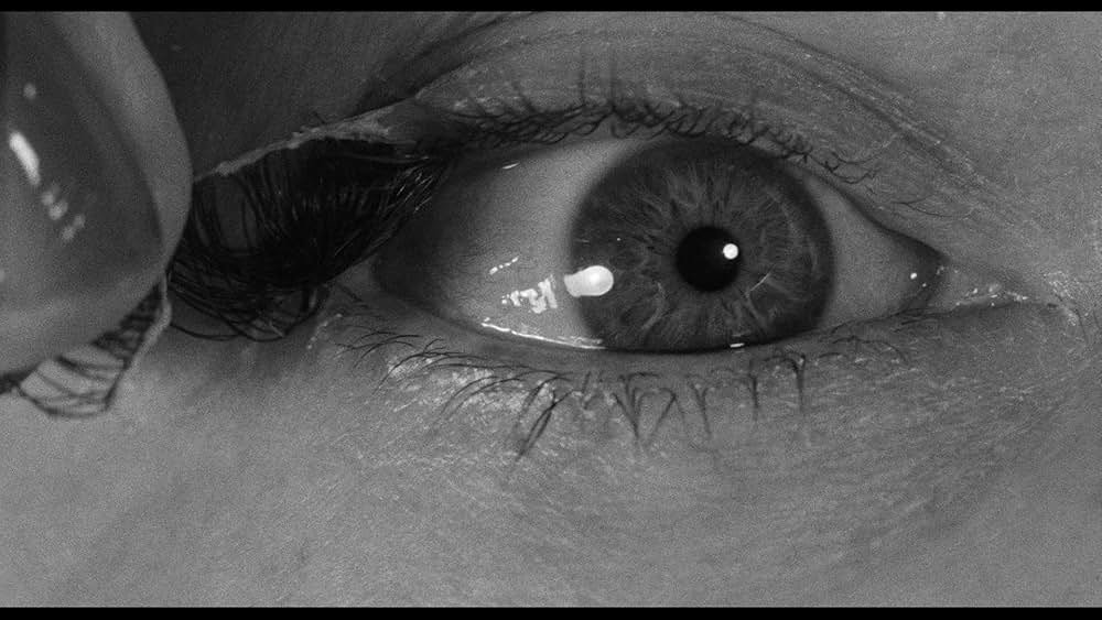 The Savage Eye（原題）の画像