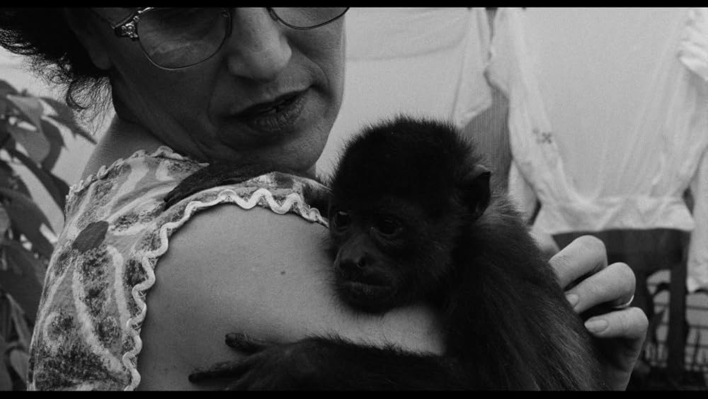 The Savage Eye（原題）の画像