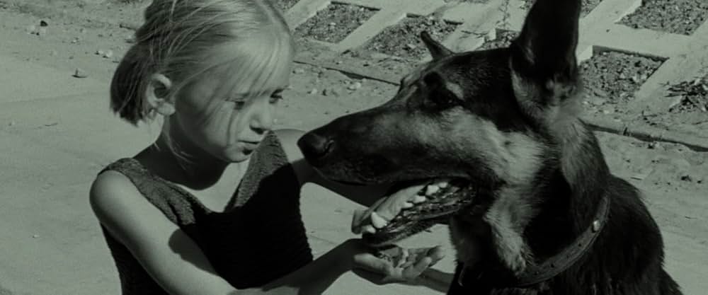 ビューティフル・ガールの画像