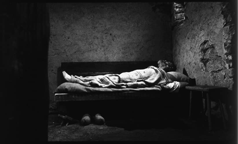 ニーチェの馬の画像