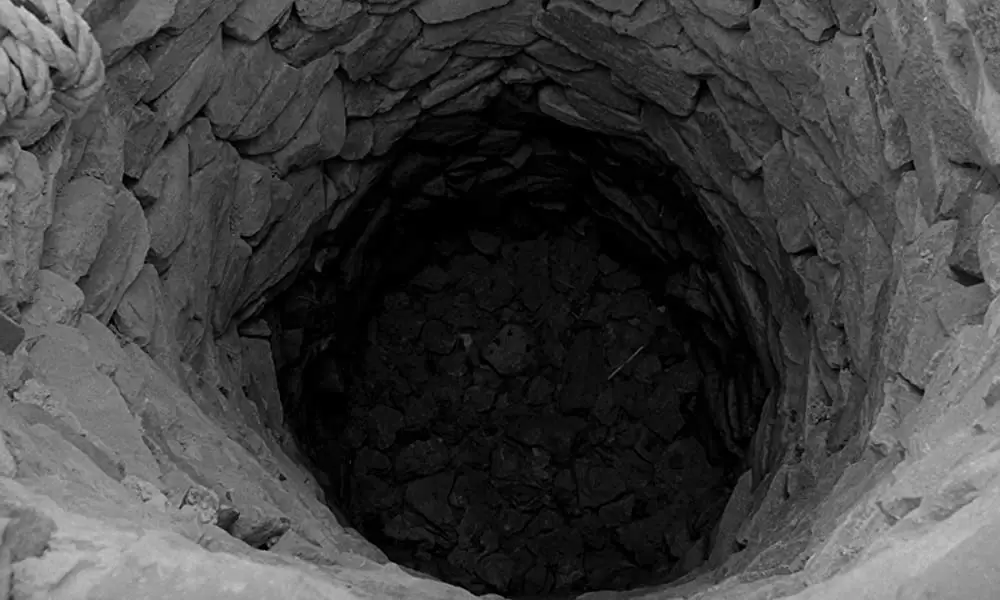 ニーチェの馬の画像