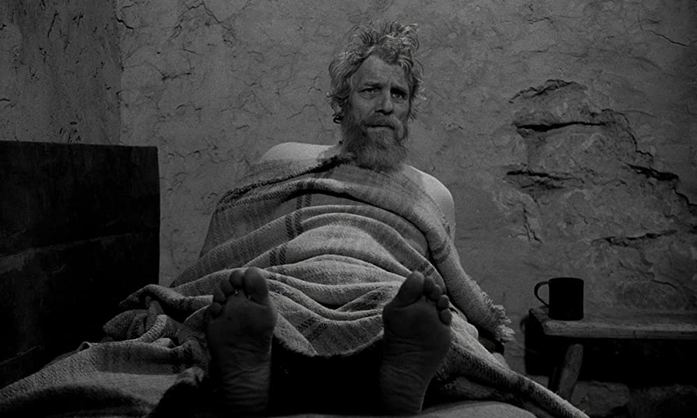 ニーチェの馬の画像