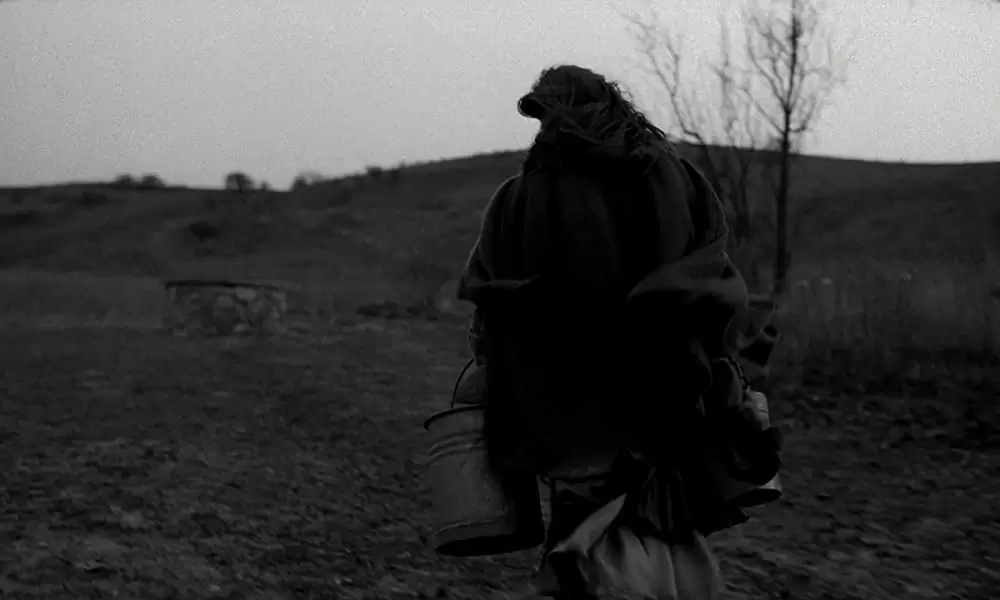 ニーチェの馬の画像