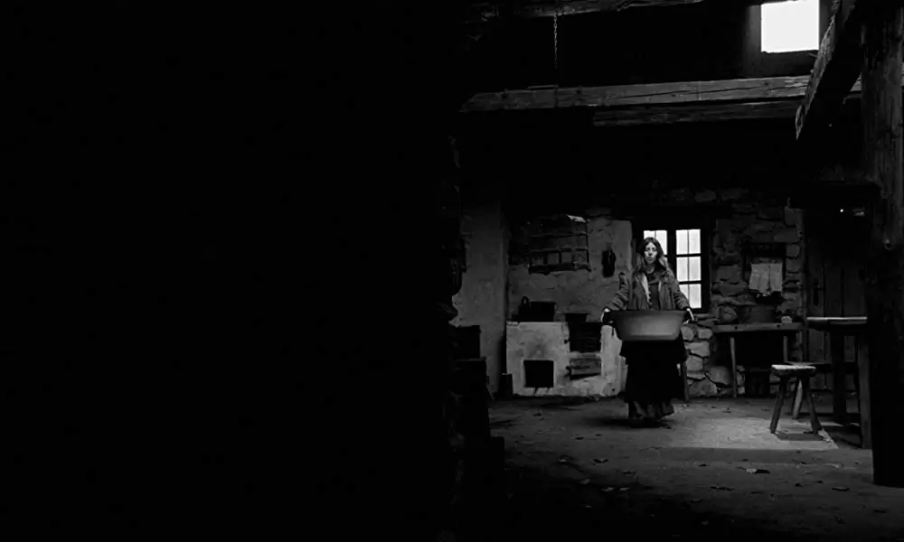 「ニーチェの馬」エリカ・ボークの画像