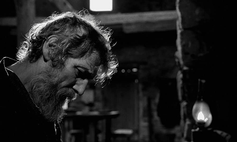 ニーチェの馬の画像