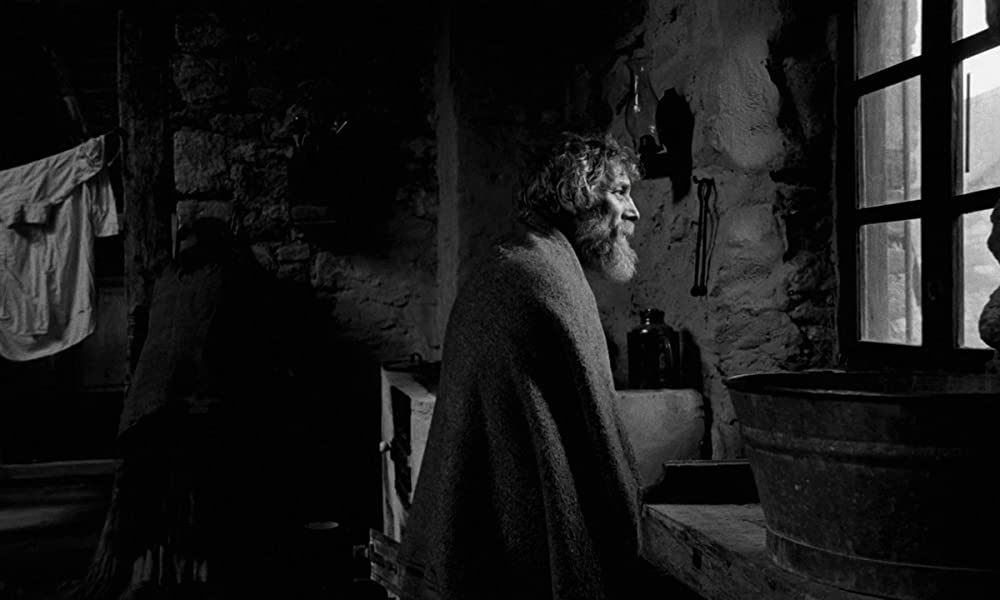 ニーチェの馬の画像