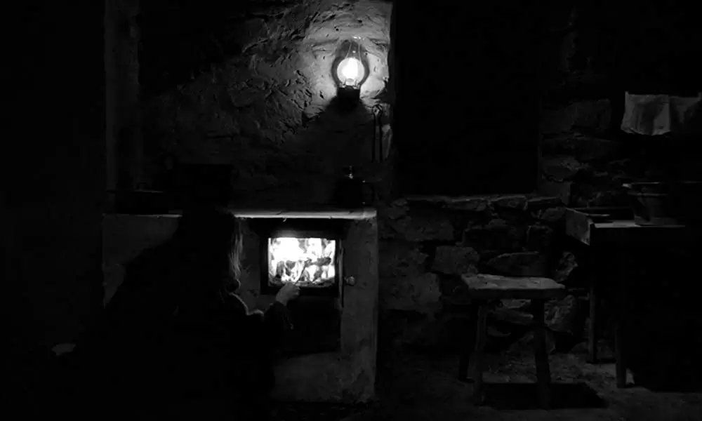 ニーチェの馬の画像