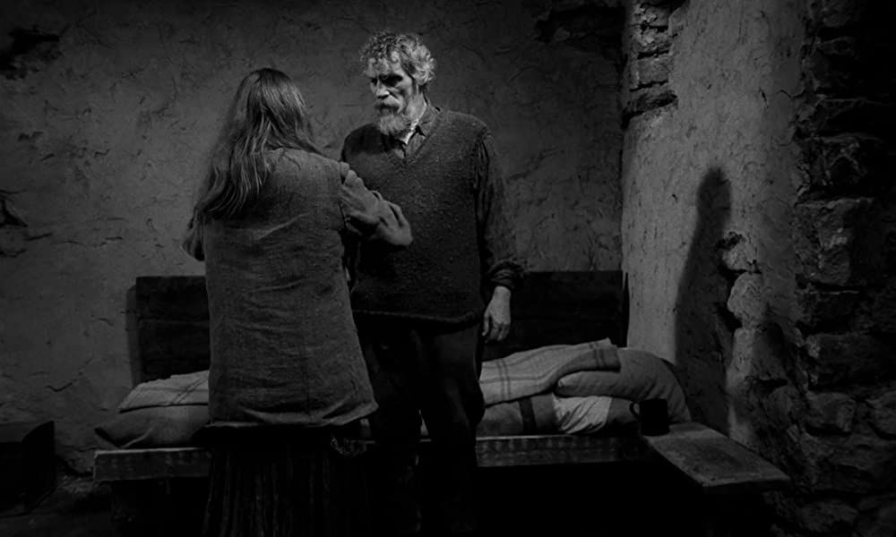 ニーチェの馬の画像