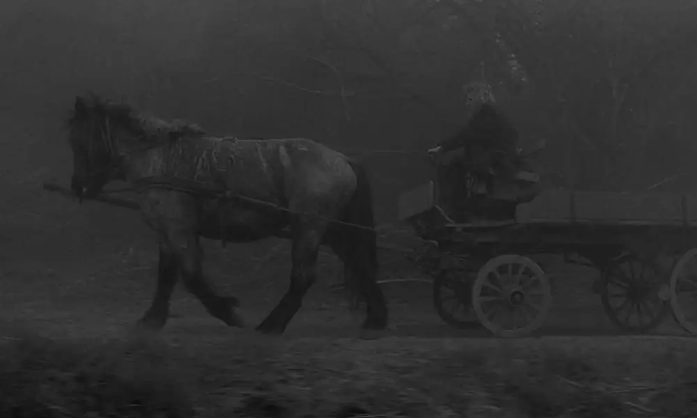「ニーチェの馬」ヤーノシュ・デルジ & Ricsiの画像