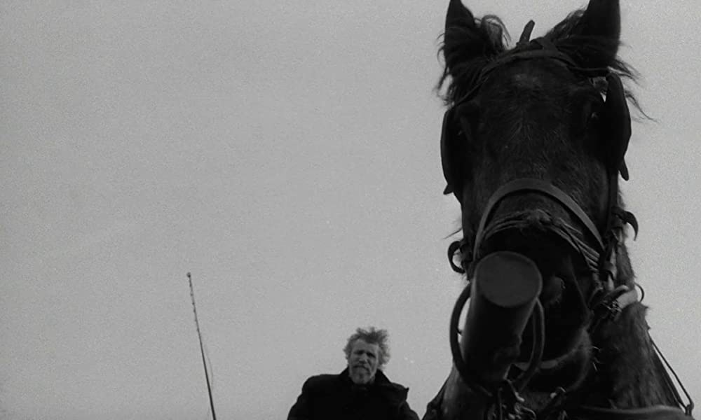 ニーチェの馬の画像