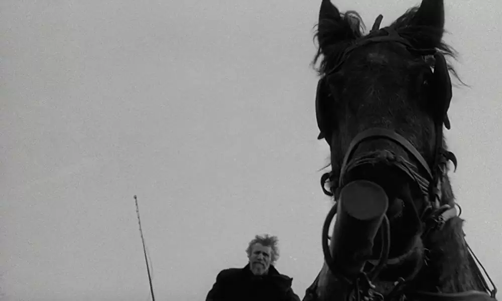 「ニーチェの馬」ヤーノシュ・デルジ & Ricsiの画像