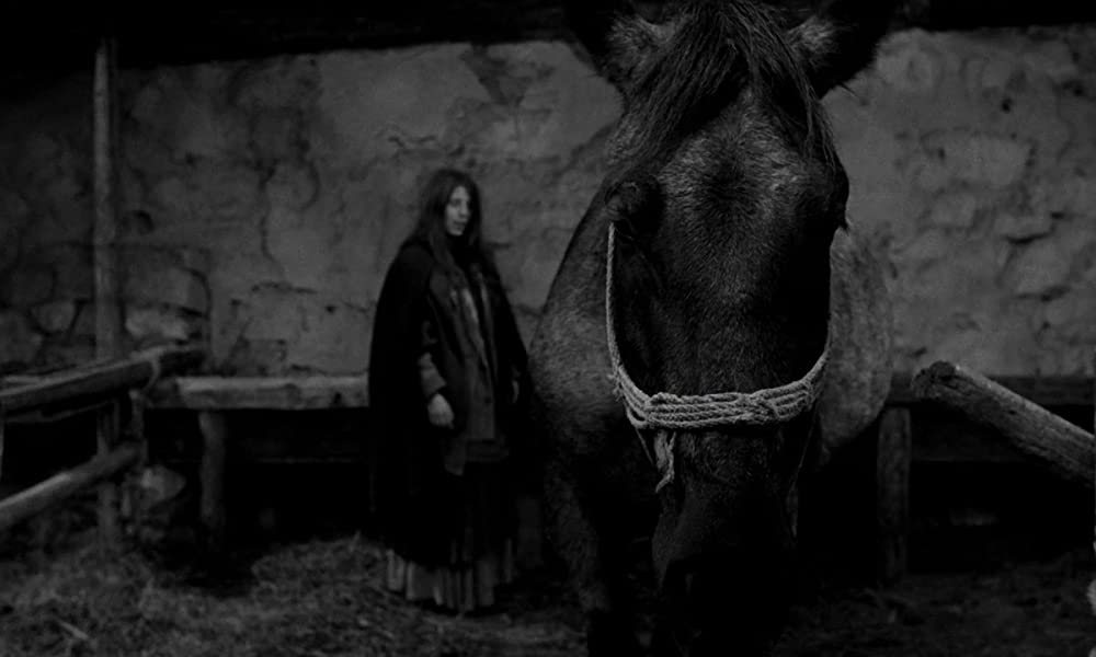 ニーチェの馬の画像