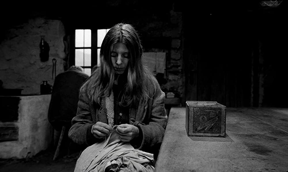 ニーチェの馬の画像