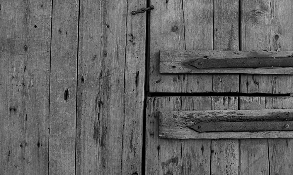 ニーチェの馬の画像