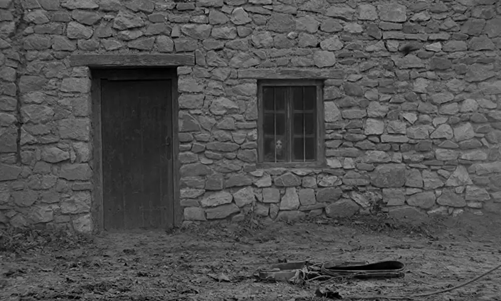 ニーチェの馬の画像