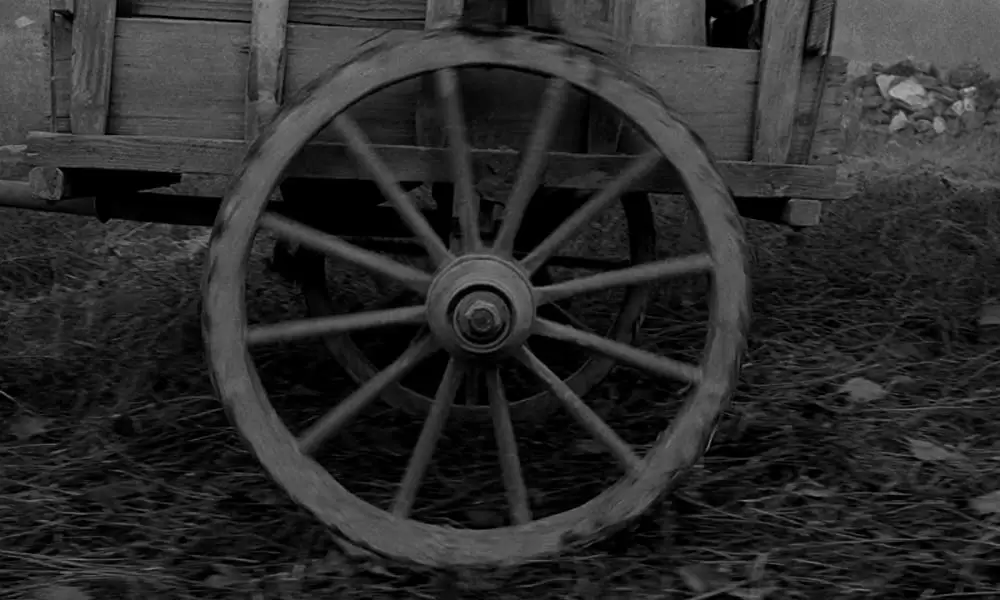 ニーチェの馬の画像