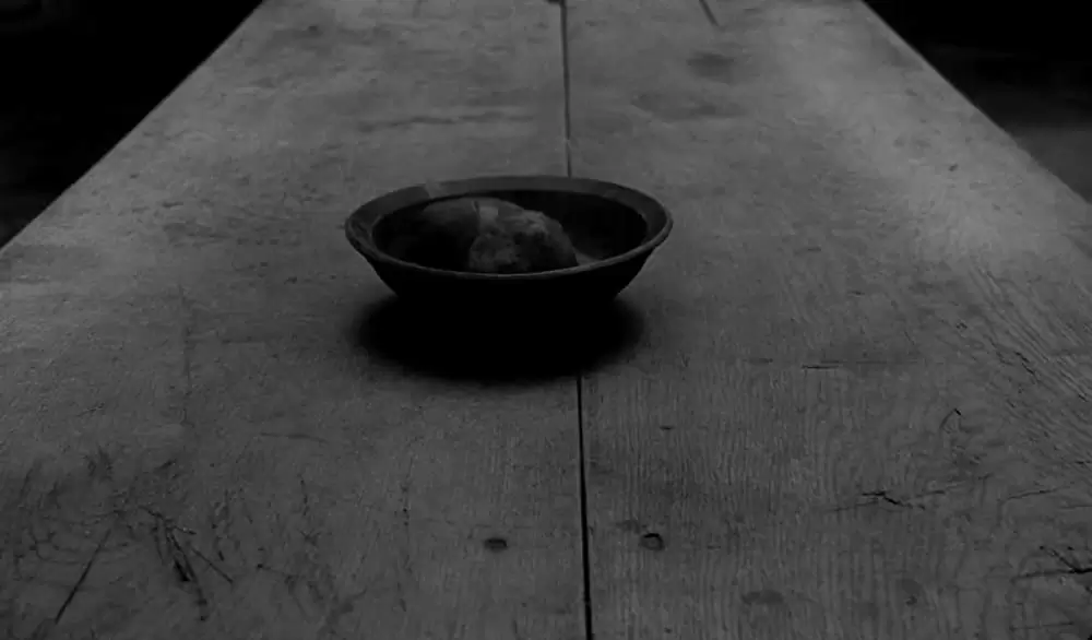 ニーチェの馬の画像