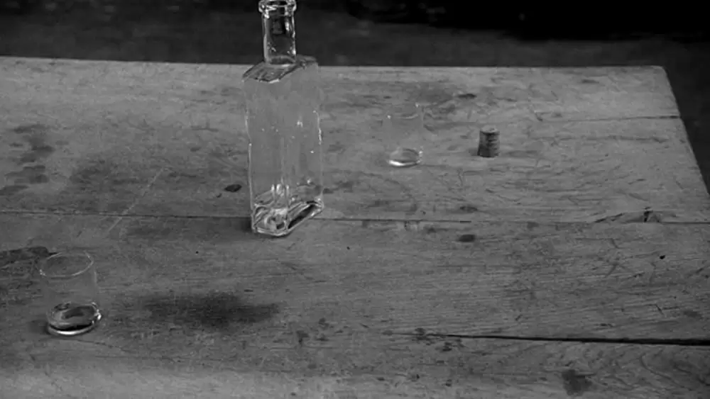 ニーチェの馬の画像