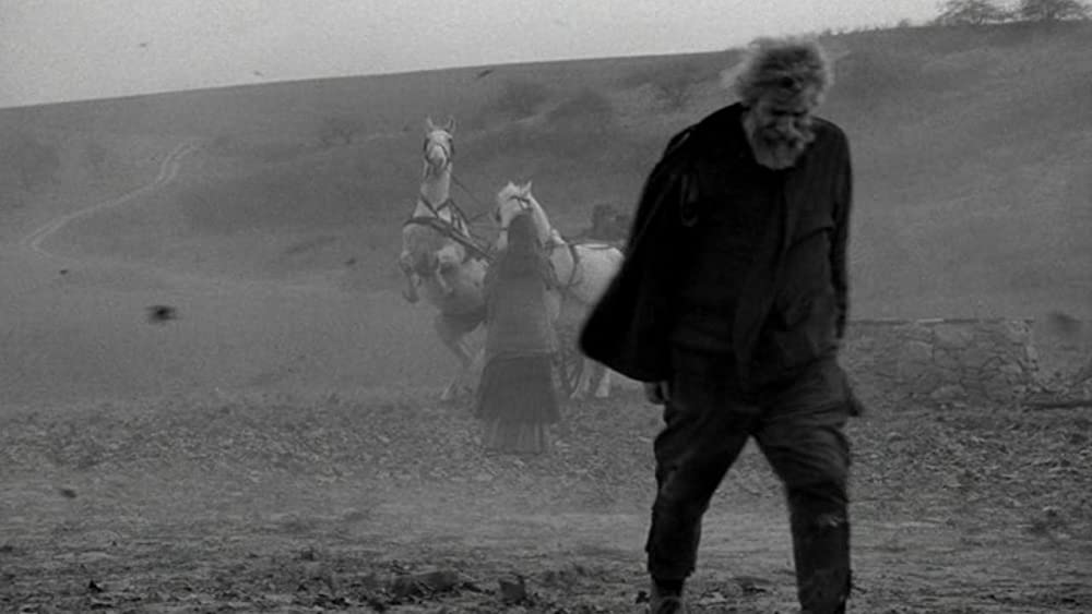 ニーチェの馬の画像